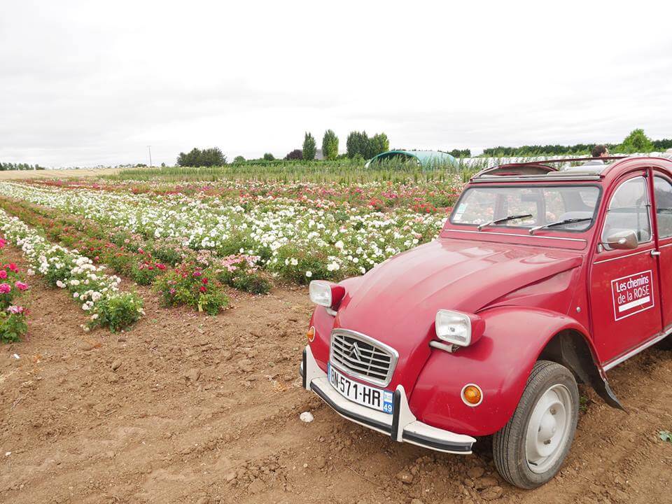 Visite en 2cv