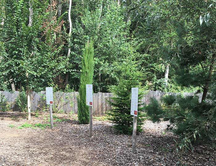 La roseraie naturelle de Doué-la-Fontaine