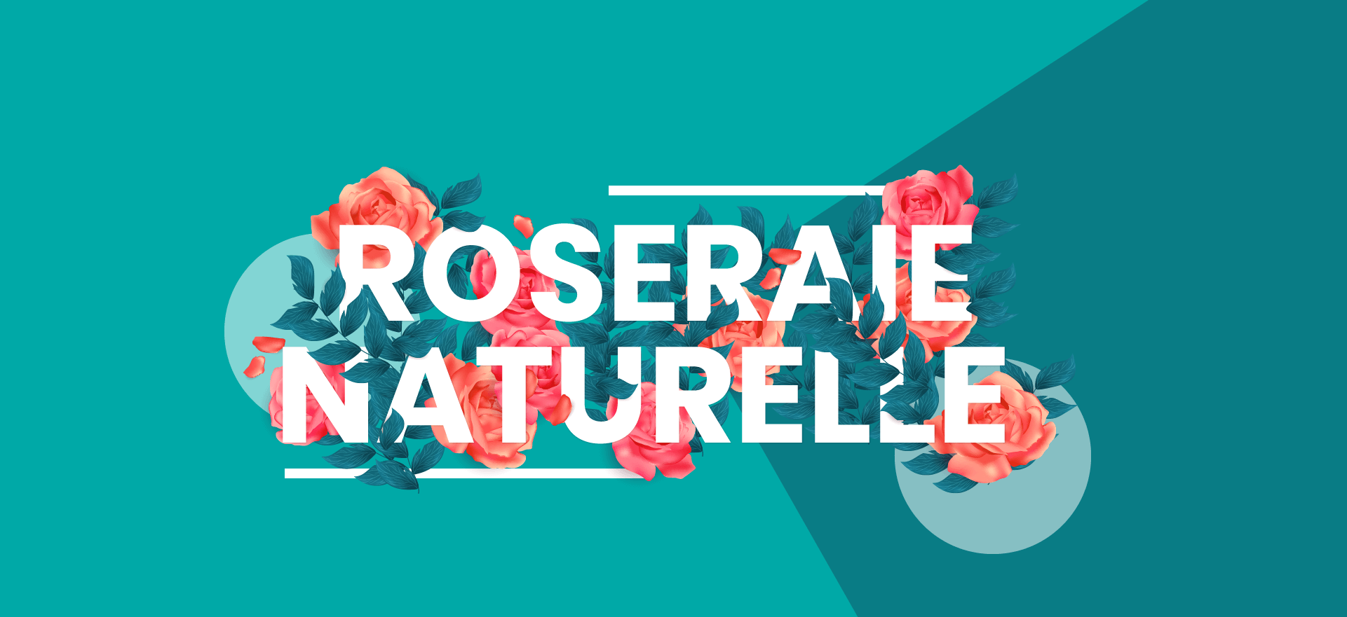 Roseraie naturelle - Les Chemins de la Rose