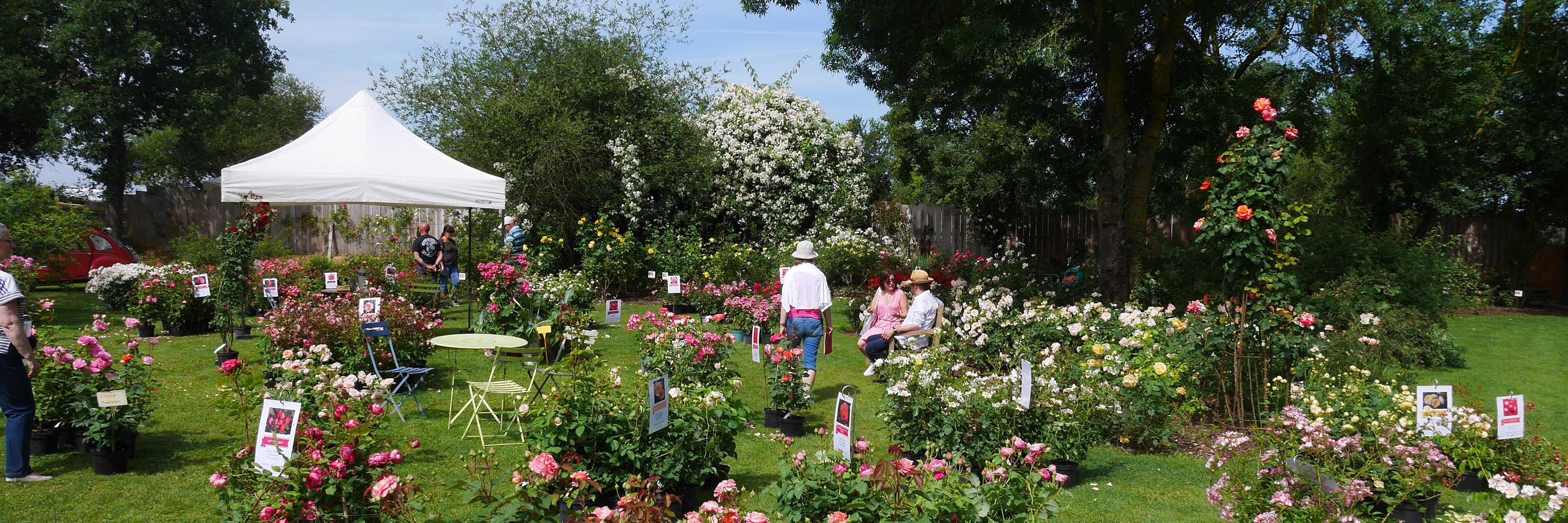 Les chemins de la rose : la fête des plantes