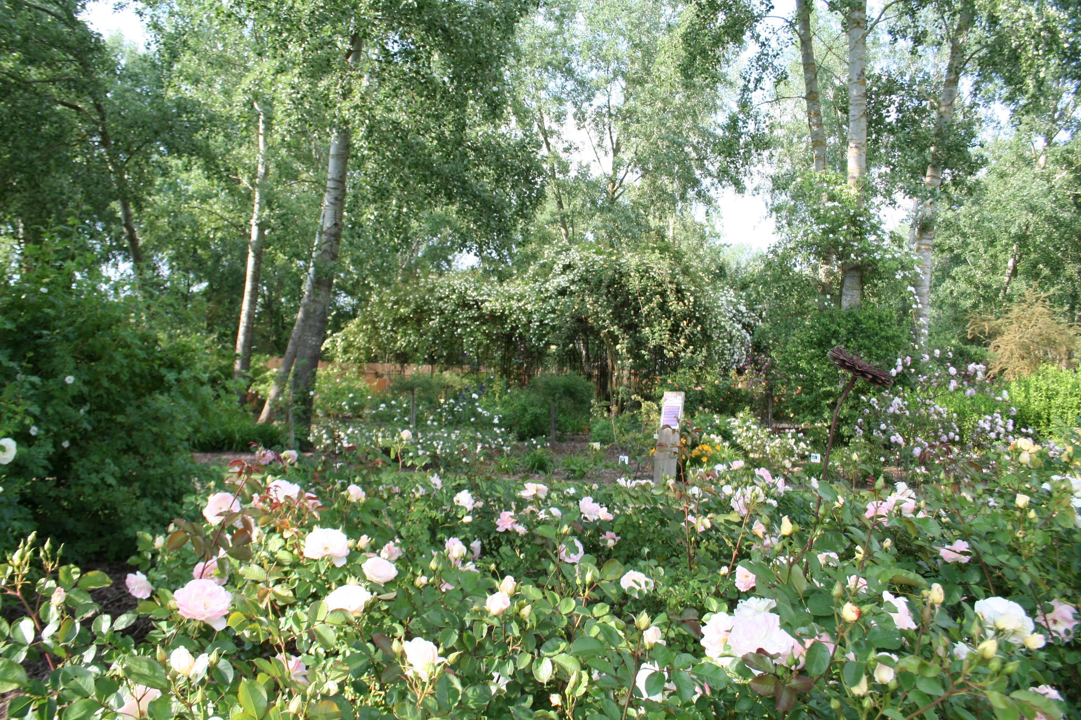 La grande tonnelle pour l'apéro-jardin de la roseraie