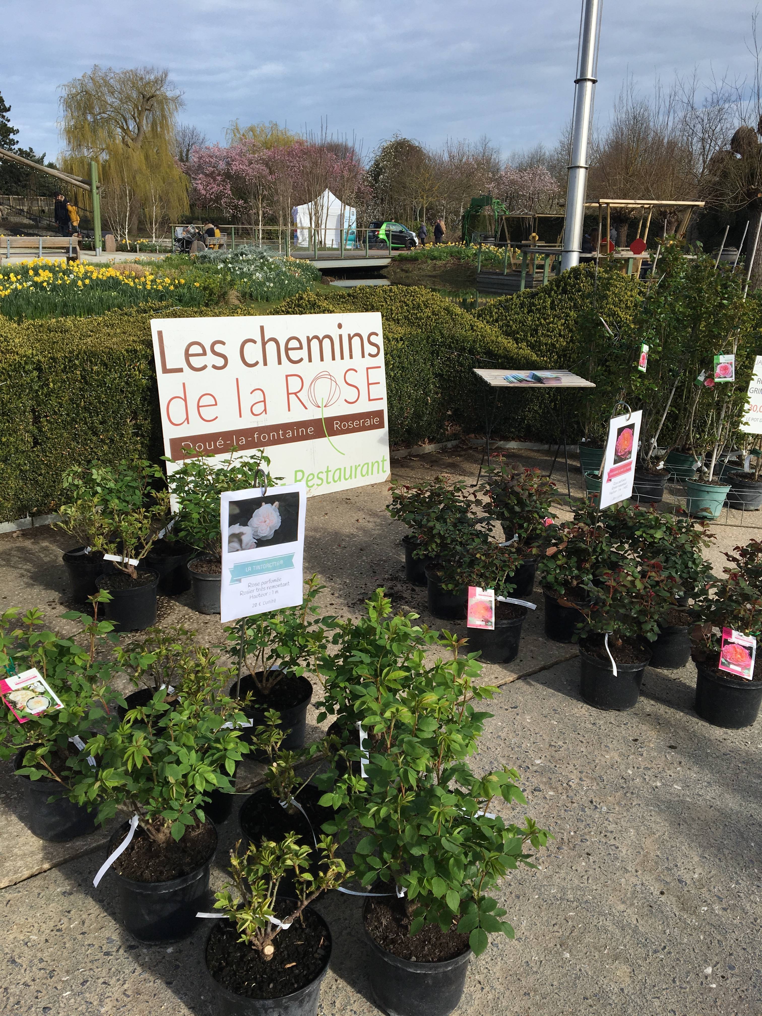 Restaurant Les chemins de la rose à Doué-la-Fontaine