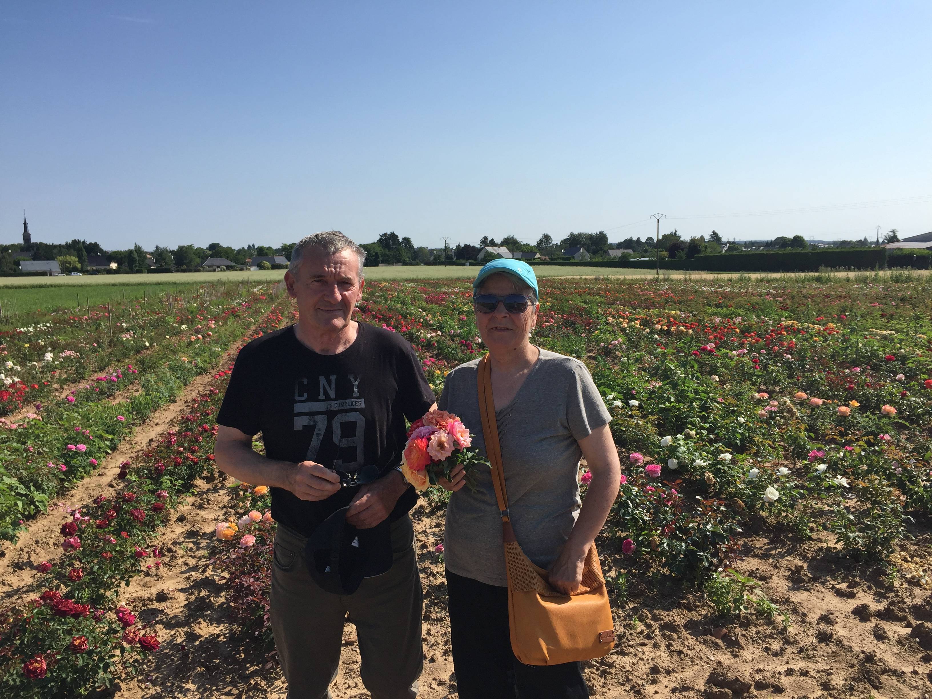 Vente de rosiers