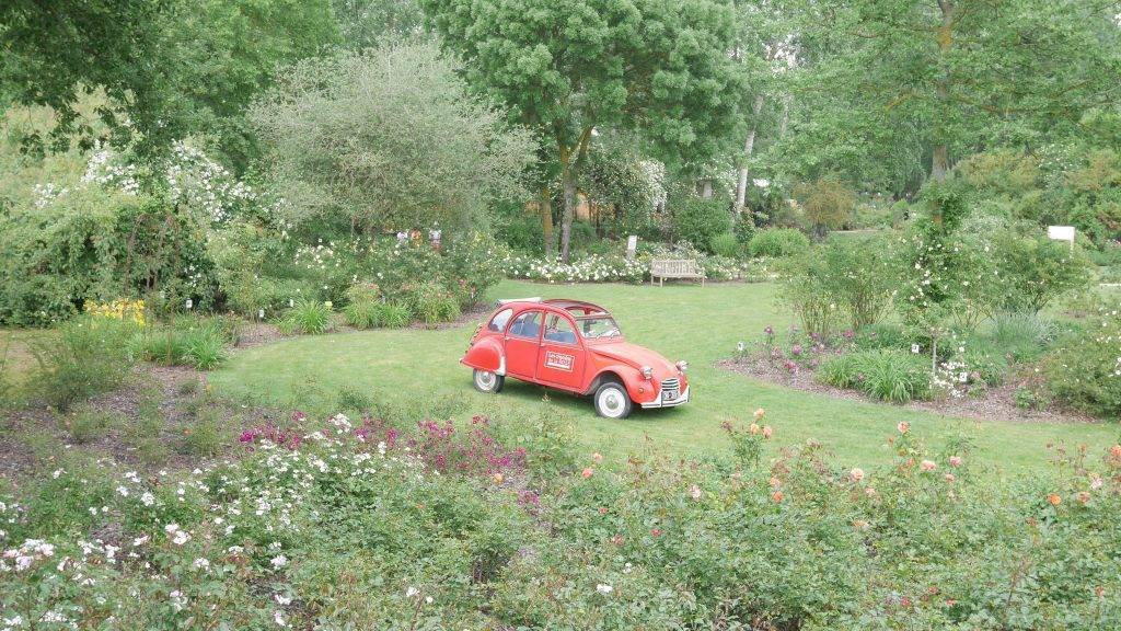 Visite insolite de la roseraie en 2CV