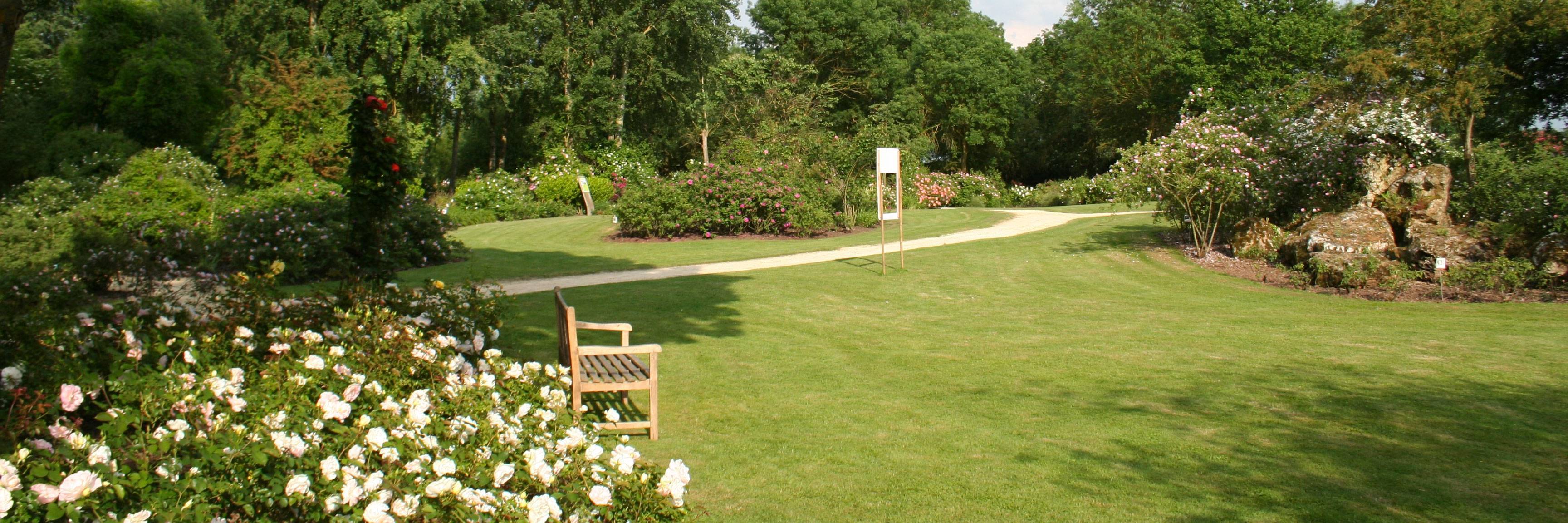 Visite en solitaire du jardin des roses de Doué-la-Fontaine