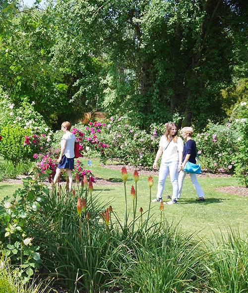 Visiter les chemins de la rose de Doué-la-Fontaine