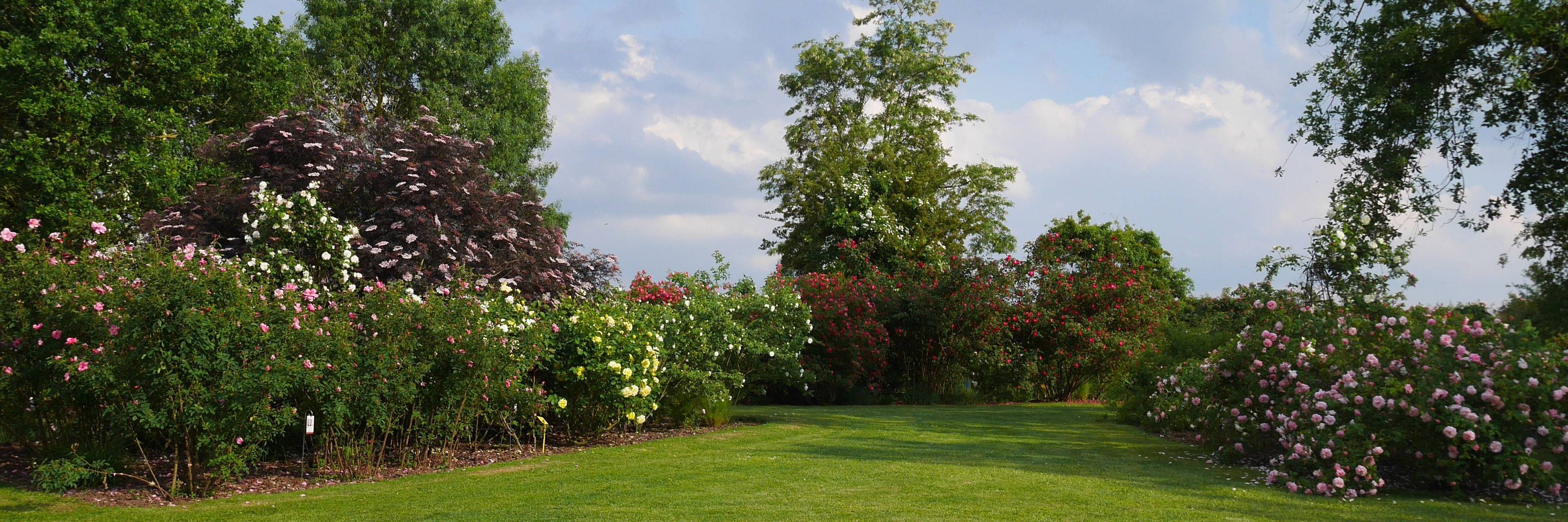 Visite en famille du jardin des roses de Doué-la-Fontaine