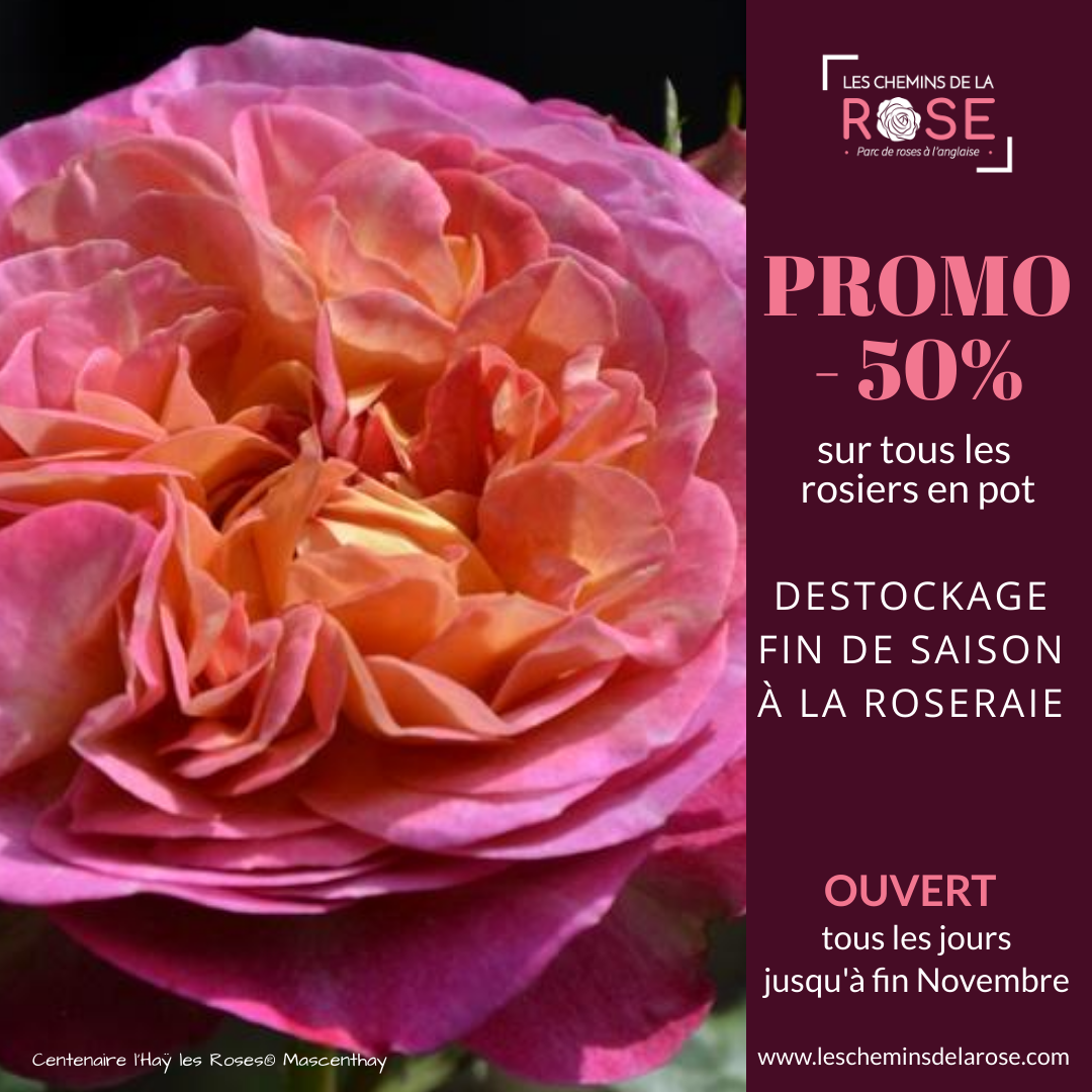 Offre destockage