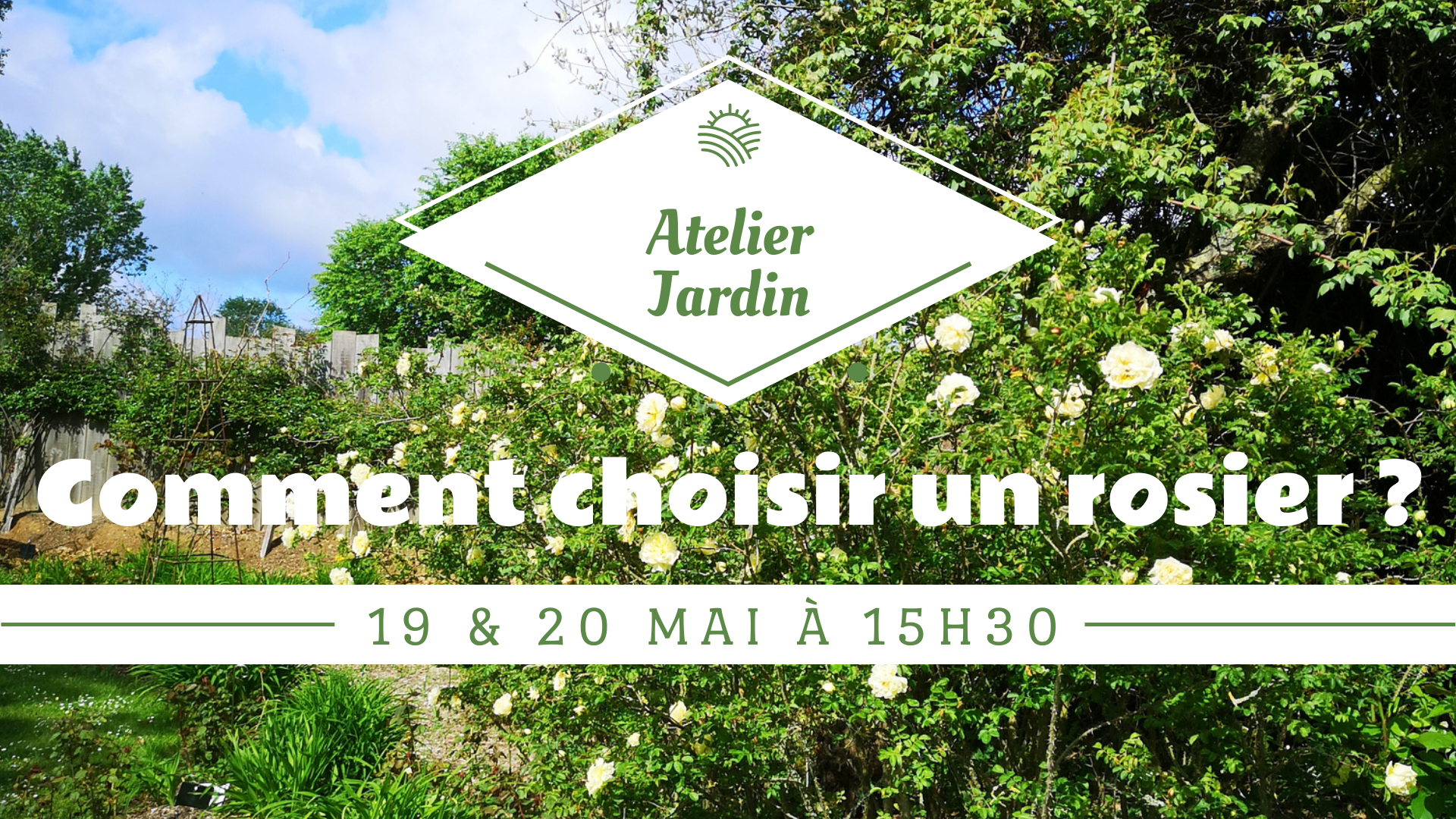 Comment choisir un rosier ? Atelier Les Chemins de la Rose