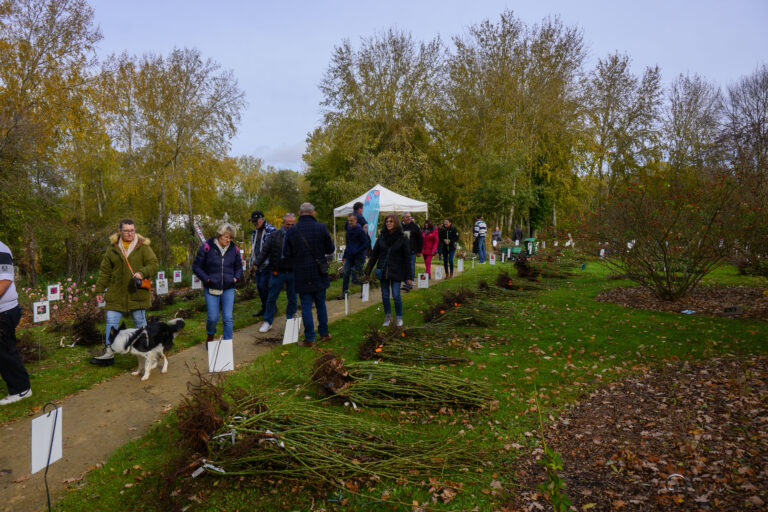 Fête des rosiers d'automne 2024 - Roseraie Les Chemins de la Rose Doué la Fontaine