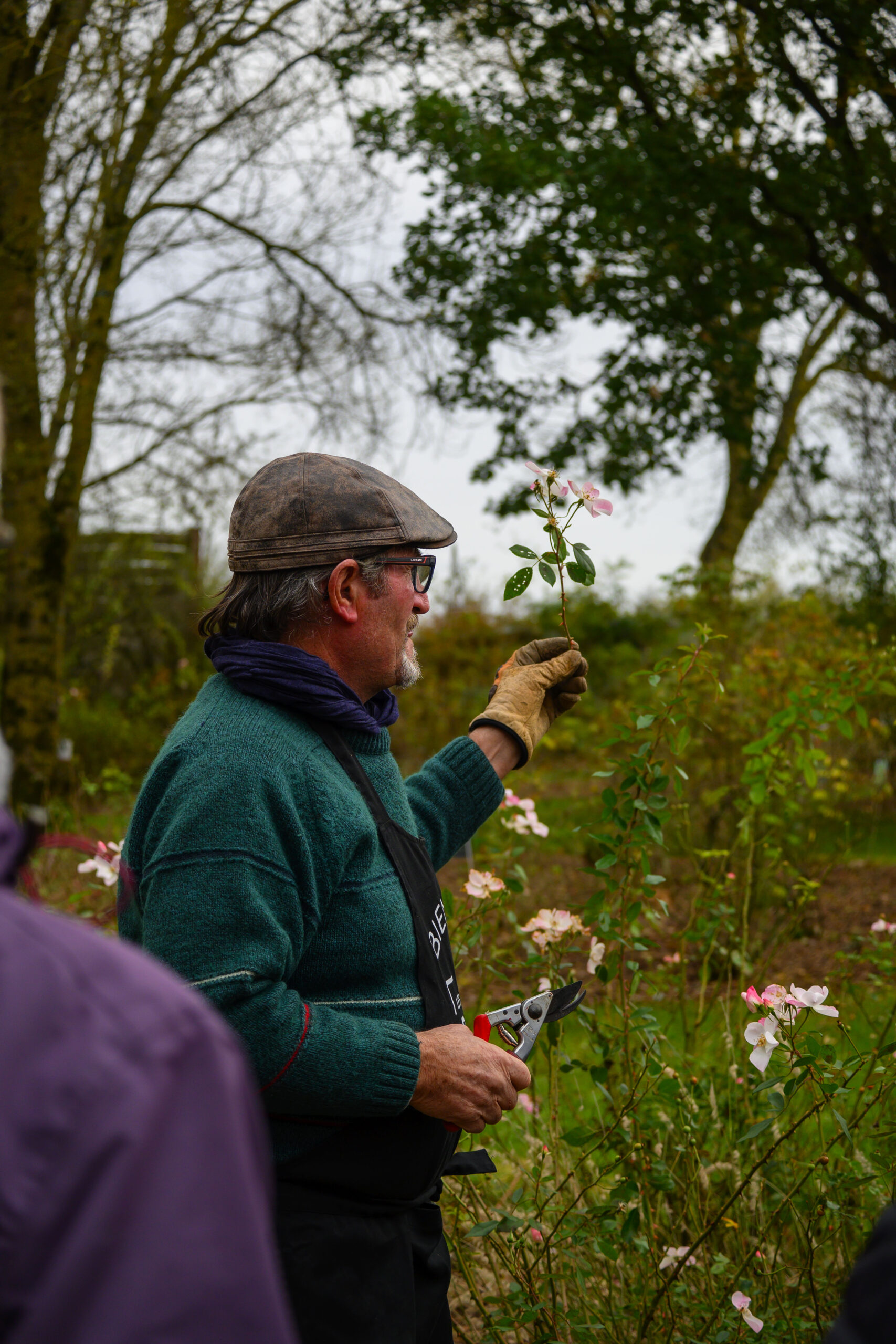 Cours de taille de rosier Fête des rosiers d'automne 2024